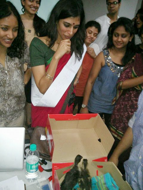 Group of people around a table with open box